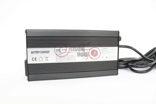 eBike 5A Fast Charger for Li-ion/Li-poly Battery