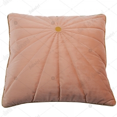 Velvet embroider cushion