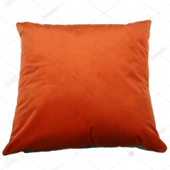 Print velvet cushion