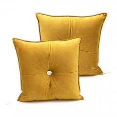 Velvet Cushion