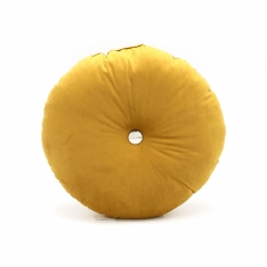 Velvet Cushion