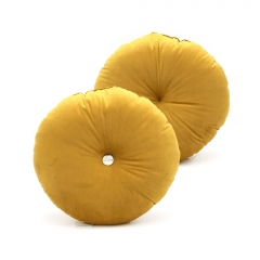 Velvet Cushion