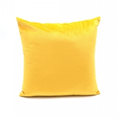 Gold print on velvet cushion