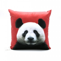 Print velvet cushion