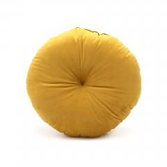 Velvet Cushion