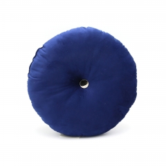 Velvet Cushion