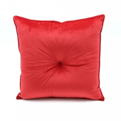 Velvet Cushion