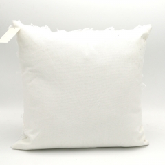 Washed Cotton Cushion