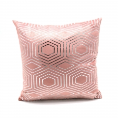 Velvet Silver Foir Print Cushion