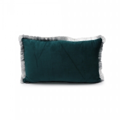 Baby Velvet Silver Thread Cushion