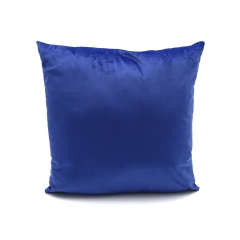 Velvet Cushion