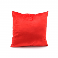 Velvet Cushion