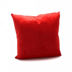 Velvet Cushion