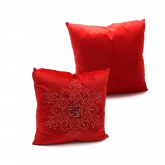 Velvet Cushion