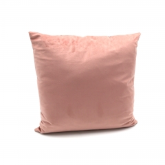 Velvet Cushion