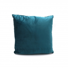 Velvet Supersonic Cushion