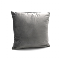 Velvet Supersonic Cushion