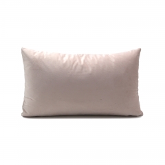 Velvet Cursh Cushion
