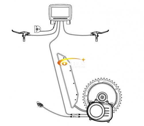 Tongsheng Mid Drive Motor Torque Sensor Coaster Brake