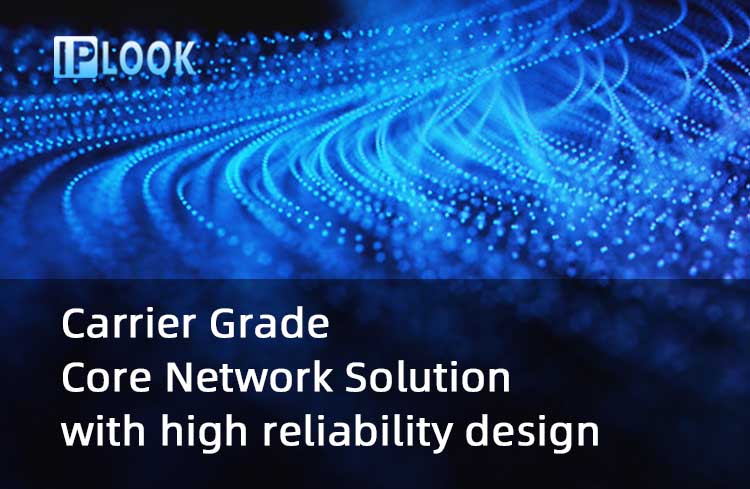 IPLOOK Carrier Grade Core Network Solution with High Reliability