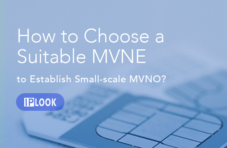 How to Choose a  Suitable MVNE to Establish Small-scale MVNO? 