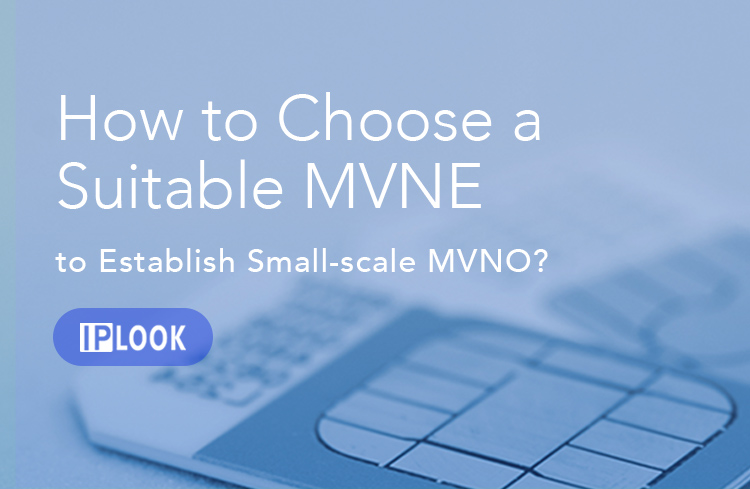 How to Choose a  Suitable MVNE to Establish Small-scale MVNO?