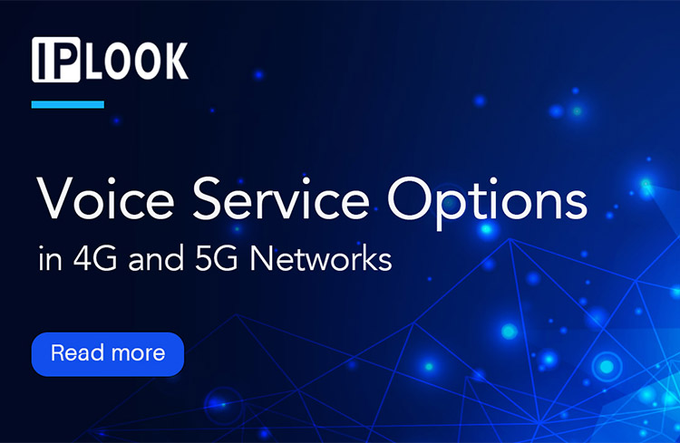 Voice Service Options in 4G and 5G Networks