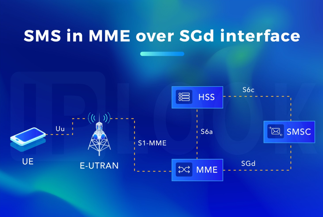 SMS in MME over SGd interface