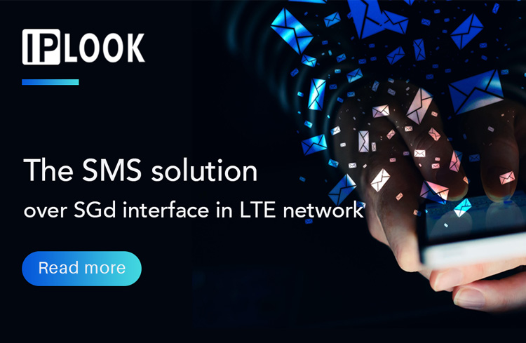 The SMS solution over SGd interface