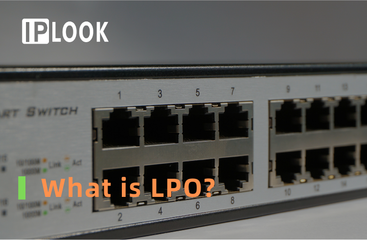 What is LPO?