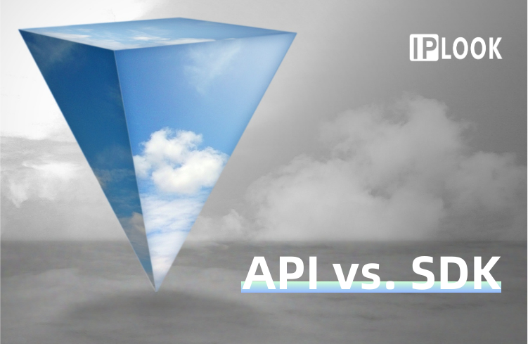 API vs. SDK