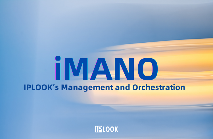 iMANO: IPLOOK's Self-developed MANO