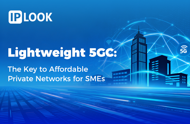 Lightweight 5GC: The Key to Affordable Private Networks for SMEs