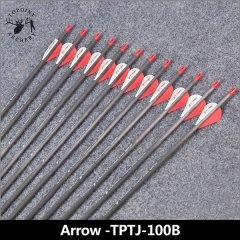 Carbon Arrow