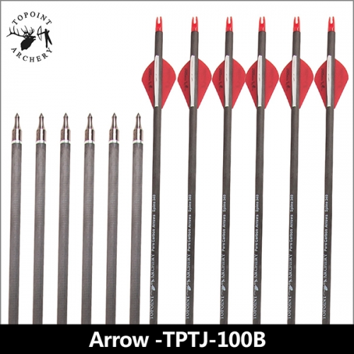 Carbon Arrow