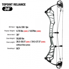 Topoint Reliance 38