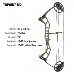 Topoint M2