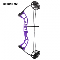 Topoint M2