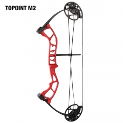 Topoint M2