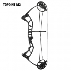 Topoint M2