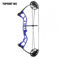 Topoint M2