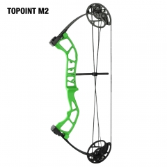 Topoint M2