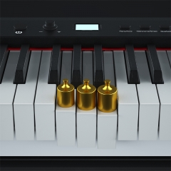 BX5 Hammer Action Piano | Weighted keyboard Digital Piano