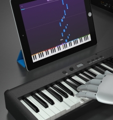 BX5 Hammer Action Piano | Weighted keyboard Digital Piano