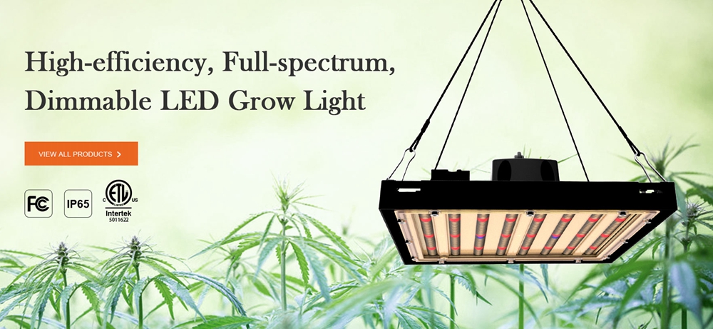 What kind of LED lights does plants growth need ?