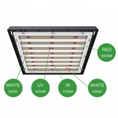 Best Full Spectrum Led Grow Light For Indoor Plants Led Lighting Dimmable 150w 300w 600 Watt 900w