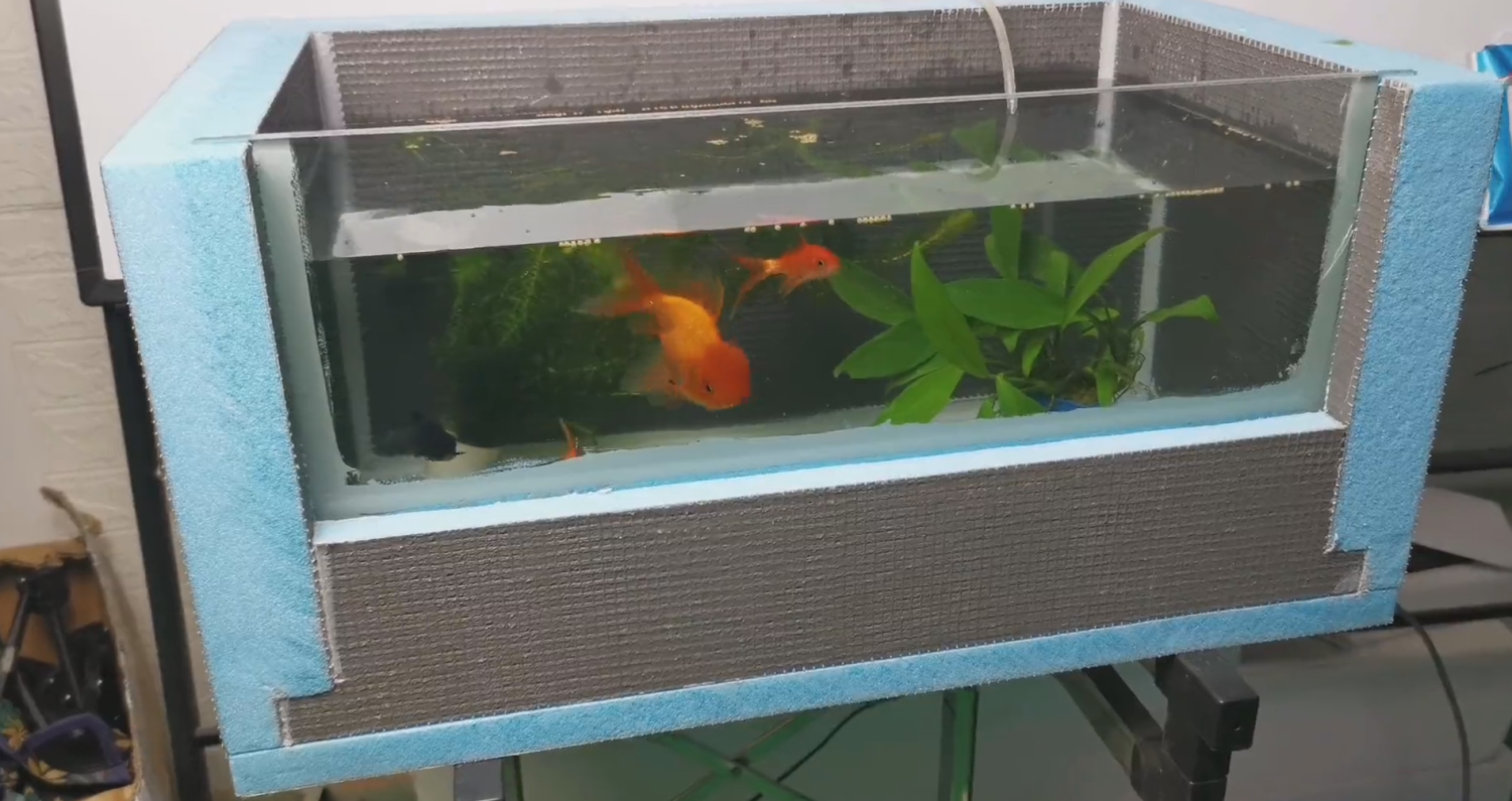 DIY a fish tank