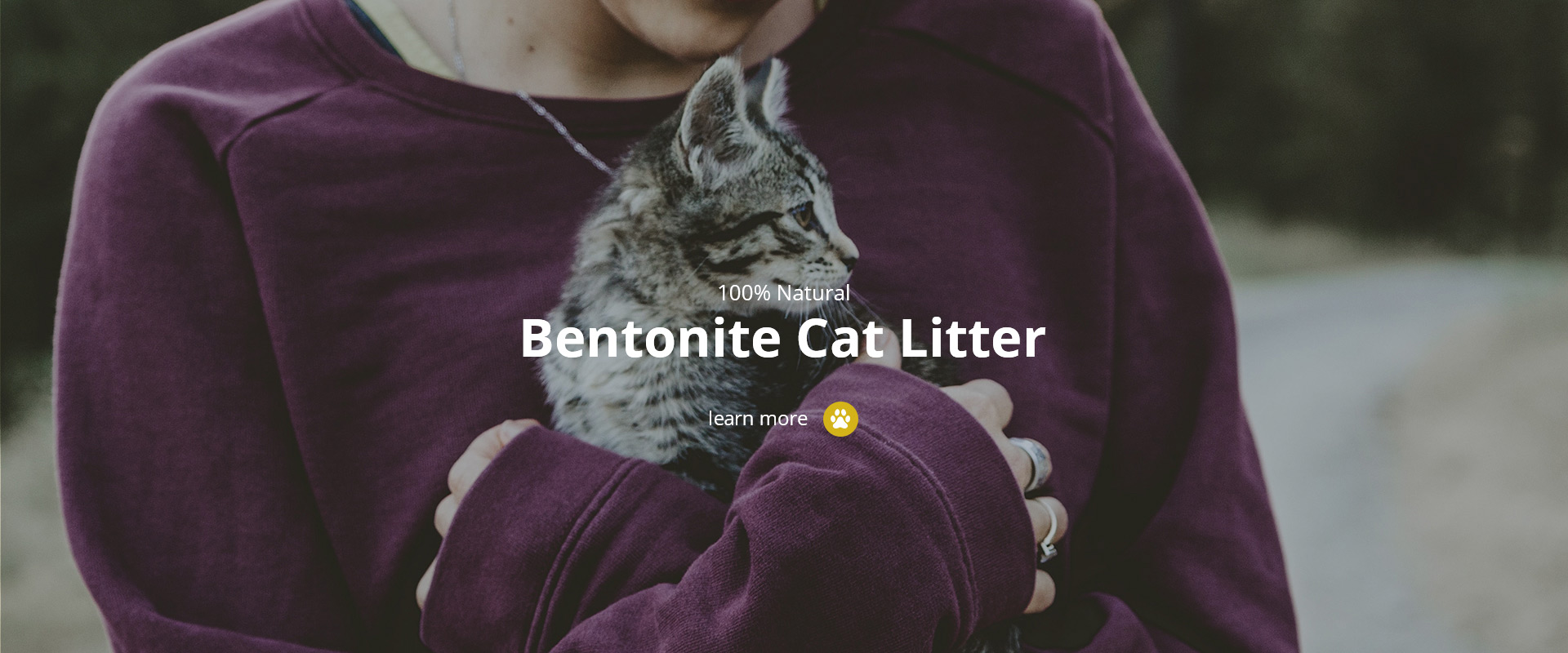 How to choose the best cat litter?