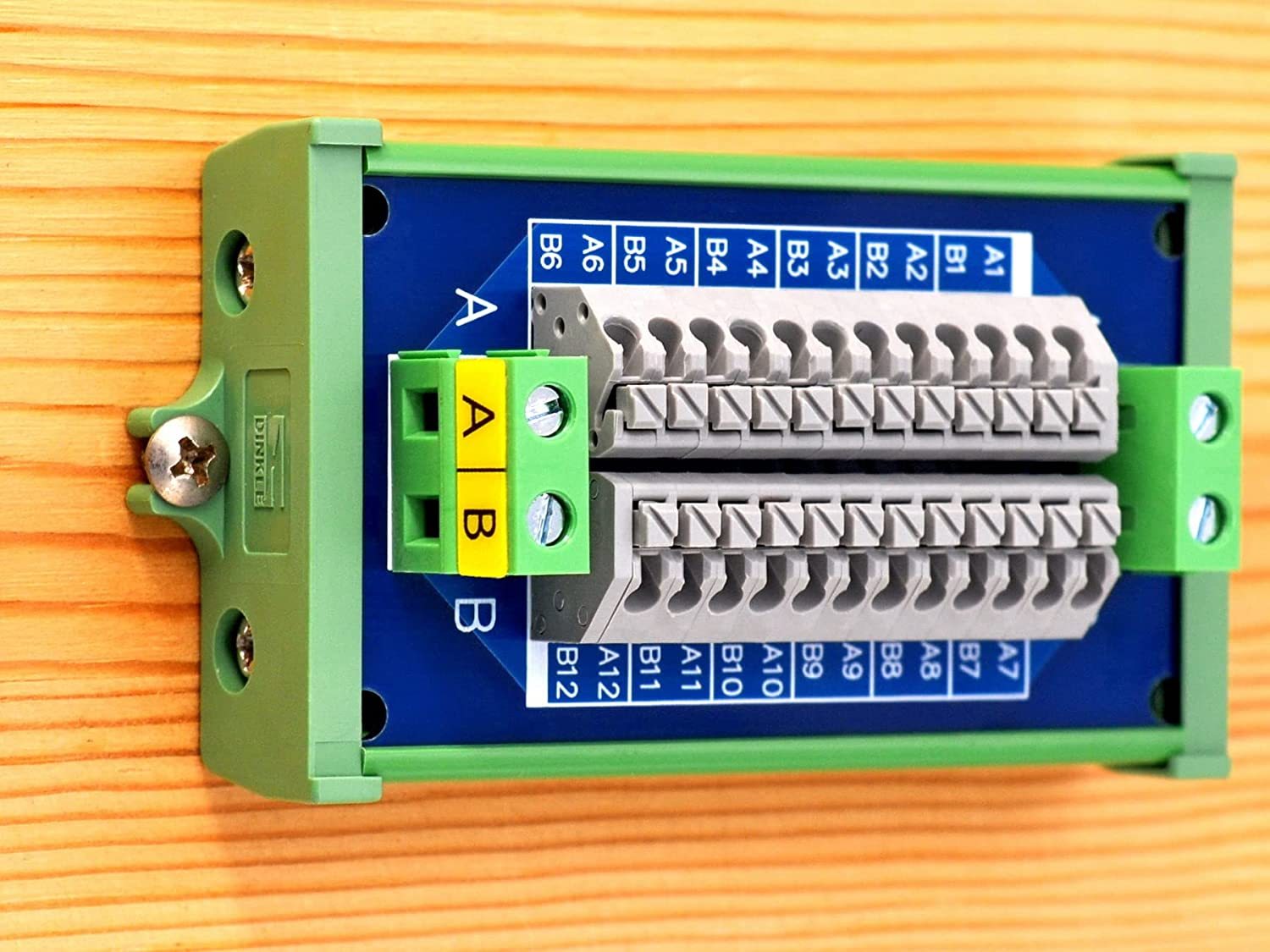 Screw Mount 16Amp AC/DC 2x12 Position Terminal Block Distribution Module