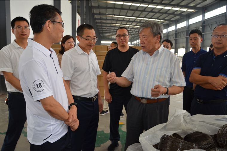 A group of experts from the Chinese Academy of Sciences went to Dazhou to investigate the development of the mysterious fiber industry